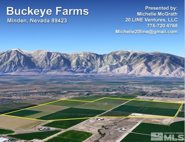 1300 Buckeye Rd, Minden NV, 89423 land for sale