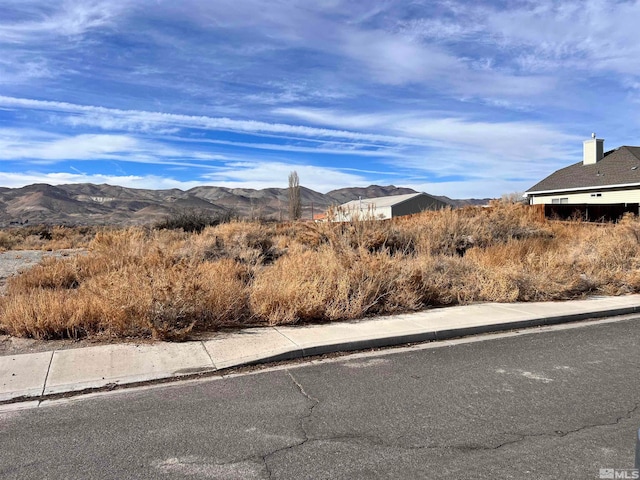 21 Jacob Rd, Yerington NV, 89447 land for sale