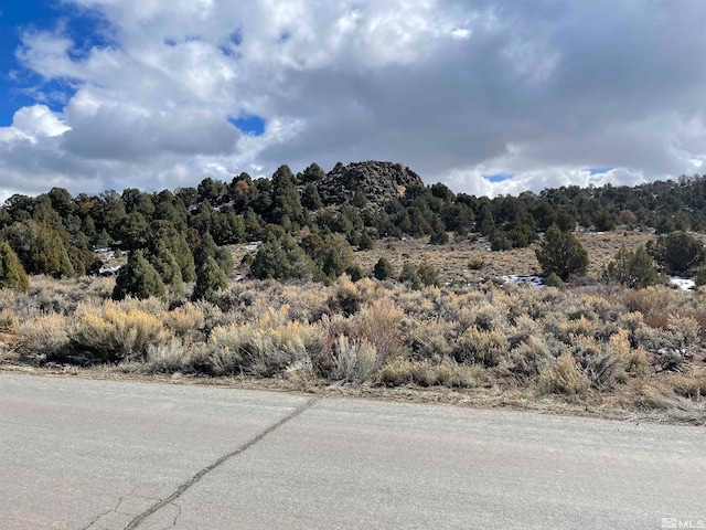 2311 Lousetown Rd, Virginia City NV, 89521 land for sale