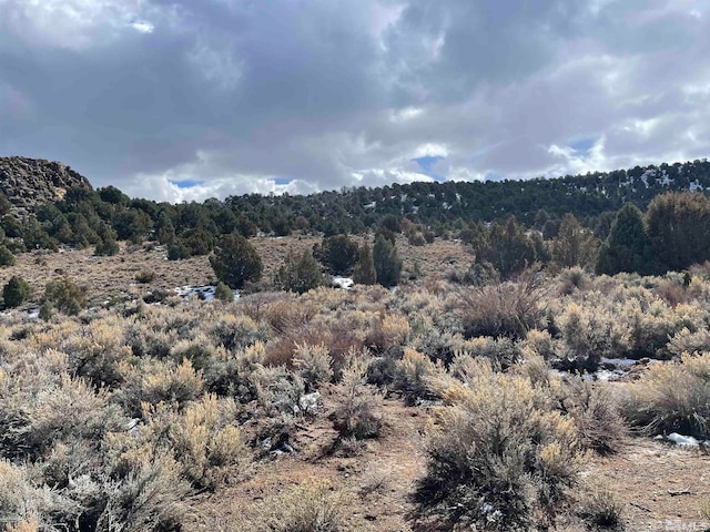 Listing photo 3 for 2311 Lousetown Rd, Virginia City NV 89521