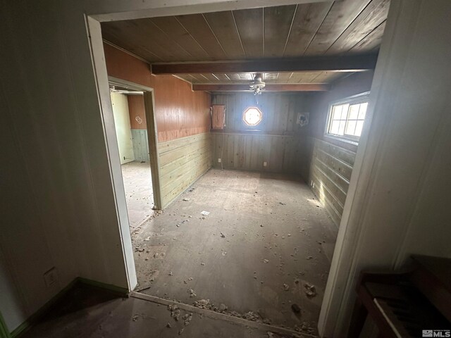 basement with wooden walls