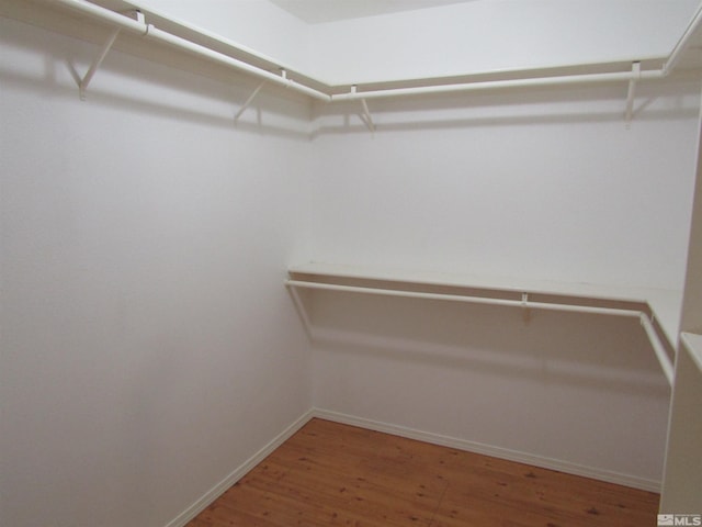 spacious closet featuring hardwood / wood-style flooring