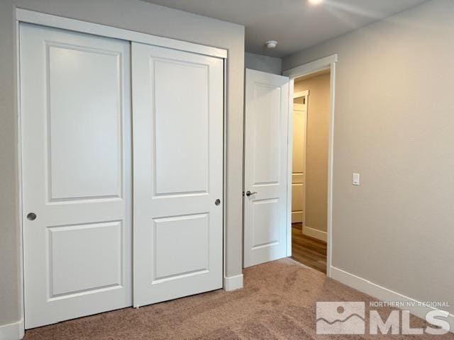 interior space with a closet and carpet