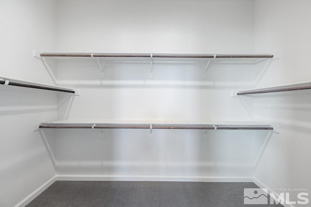 spacious closet with carpet floors