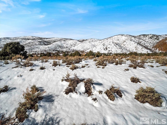 1534 Bolton Loop, Gardnerville NV, 89410 land for sale