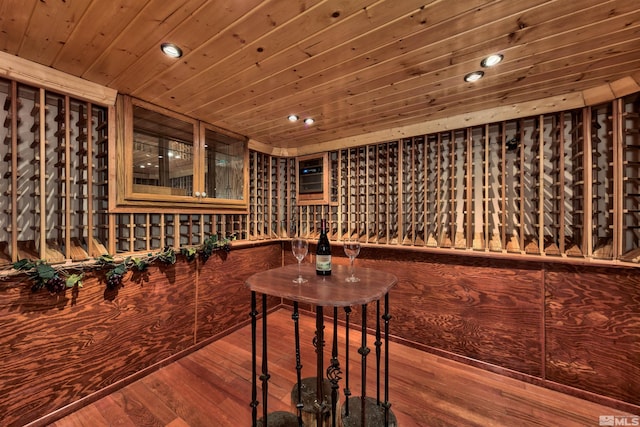 wine cellar featuring dark hardwood / wood-style floors