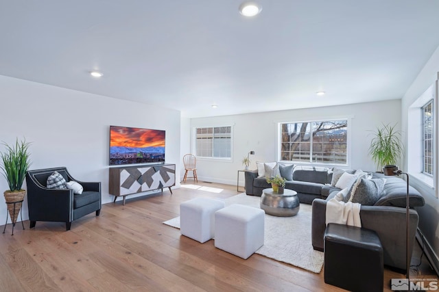 living room featuring light wood-type flooring