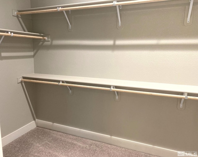 walk in closet featuring carpet floors