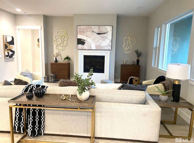 living area featuring a glass covered fireplace