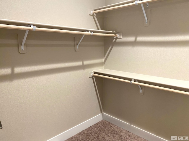 spacious closet with carpet