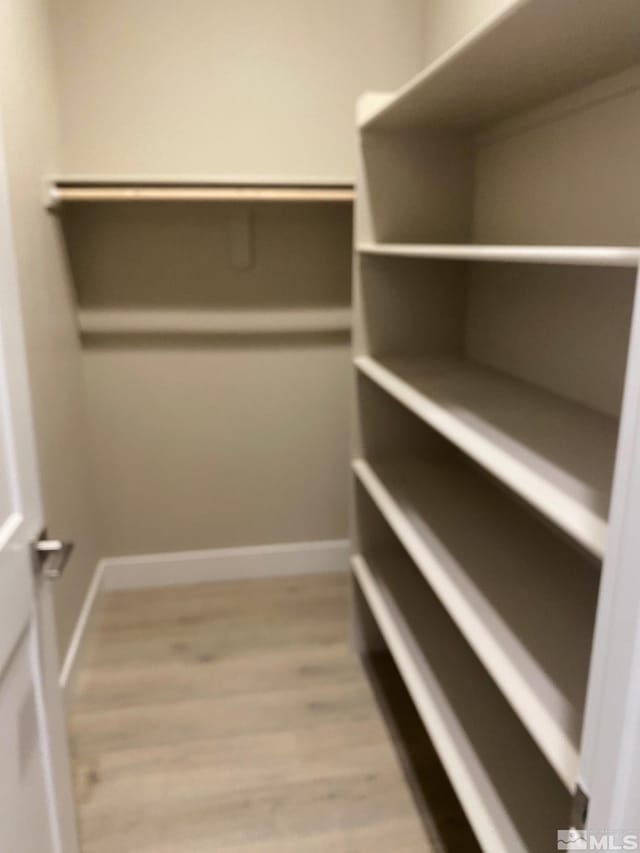 spacious closet with light wood-type flooring