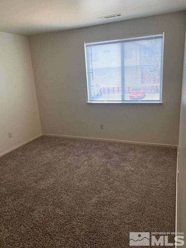 unfurnished room featuring carpet floors