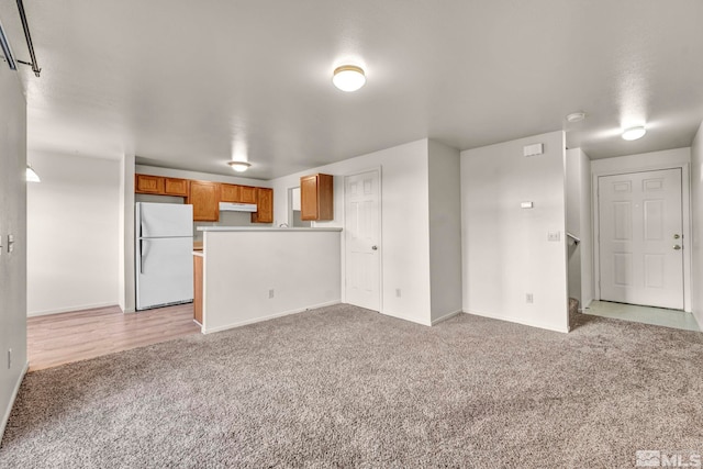 unfurnished living room with light carpet