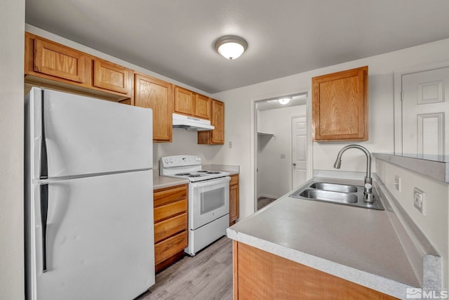 kitchen featuring light wood-type flooring, white electric stove, fridge, and sink