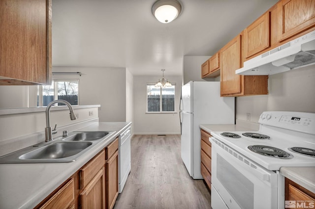 kitchen with plenty of natural light, sink, white appliances, and a chandelier