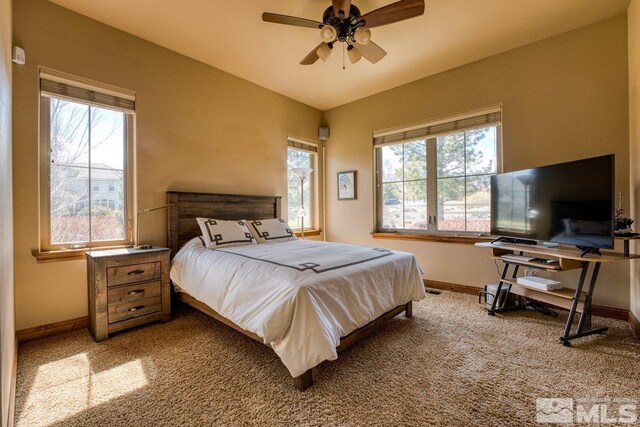 carpeted bedroom with ceiling fan and multiple windows