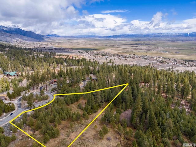 Listing photo 3 for 235 Jobs Canyon Ct, Gardnerville NV 89460