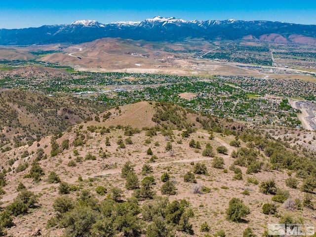 00 Geiger Grade Rd, Reno NV, 89521 land for sale