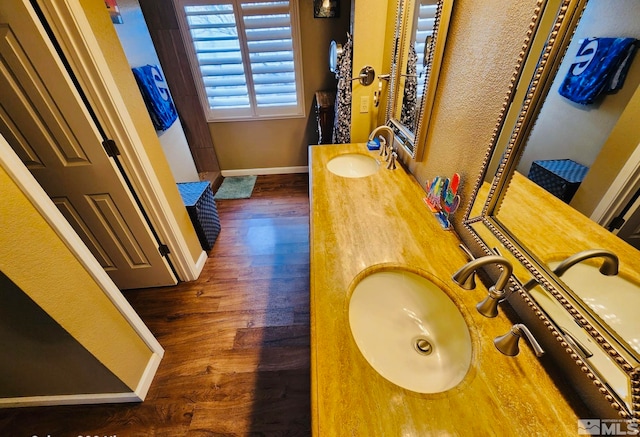 bathroom featuring wood-type flooring and dual bowl vanity