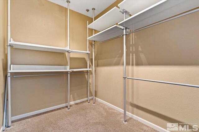 walk in closet with light colored carpet