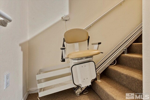 staircase featuring carpet flooring