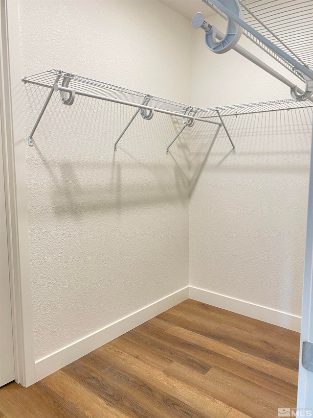 spacious closet featuring light hardwood / wood-style floors