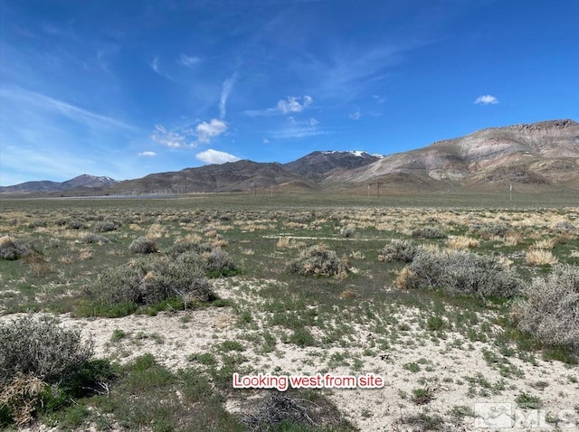 0 State Route 447, Wadsworth NV, 89408 land for sale