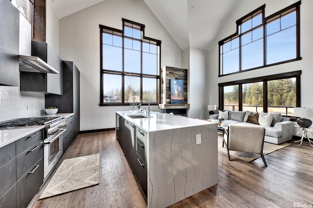 kitchen featuring high vaulted ceiling, dark wood-type flooring, an island with sink, and range with two ovens