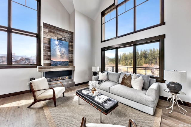 living room featuring high vaulted ceiling and hardwood / wood-style floors