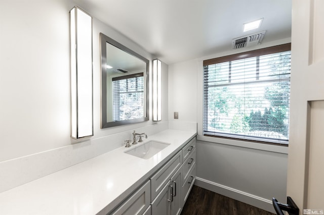 bathroom featuring wood-type flooring and oversized vanity