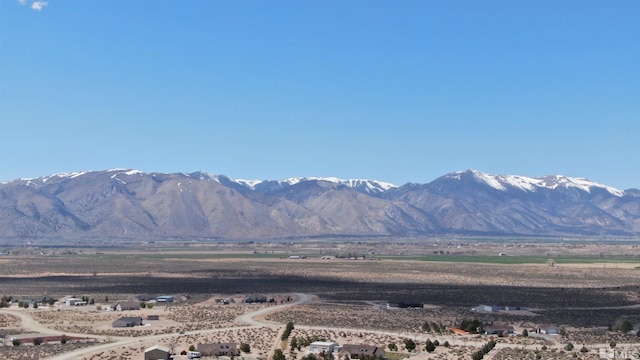 355 Ludwig Ln, Smith NV, 89430 land for sale