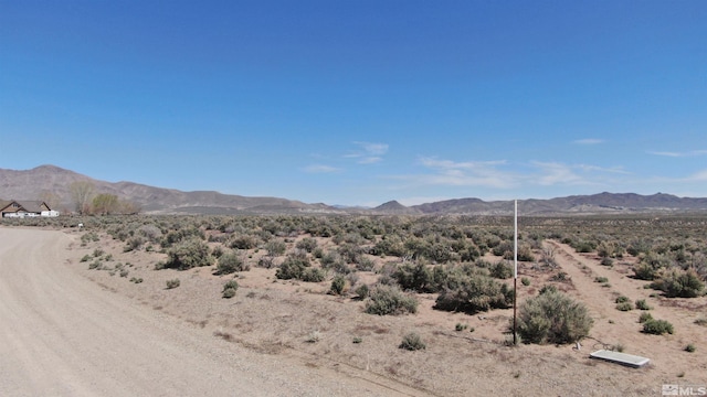 Listing photo 3 for 355 Ludwig Ln, Smith NV 89430