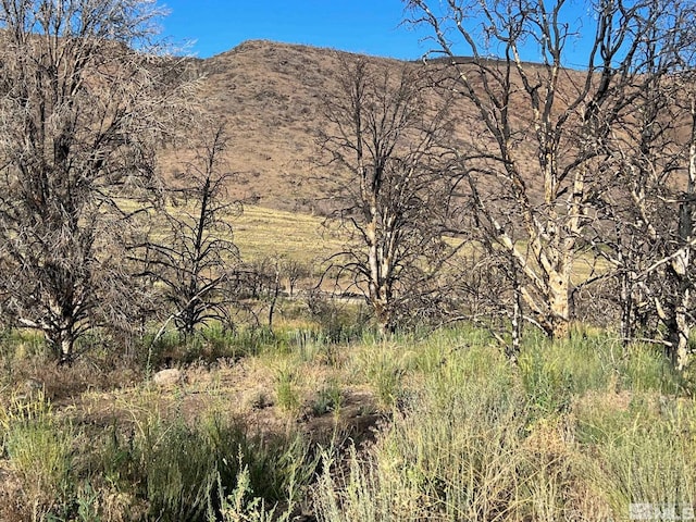 tbd Devenpeck 1, Gardnerville NV, 89410 land for sale