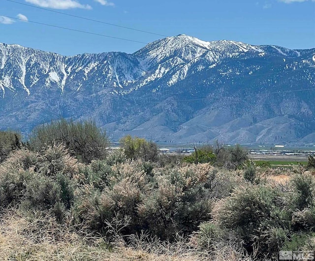 2550 E Valley, Minden NV, 89423 land for sale