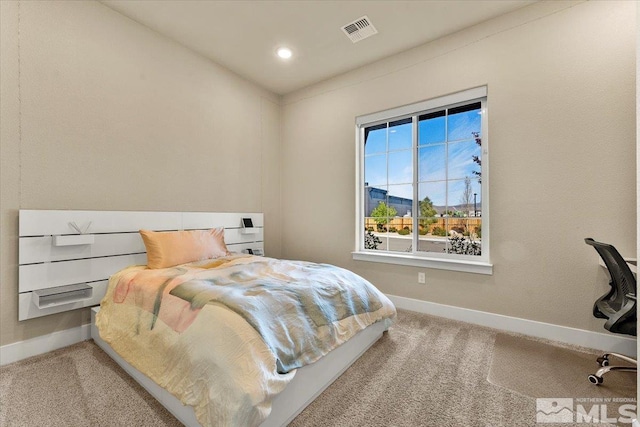 bedroom with carpet floors