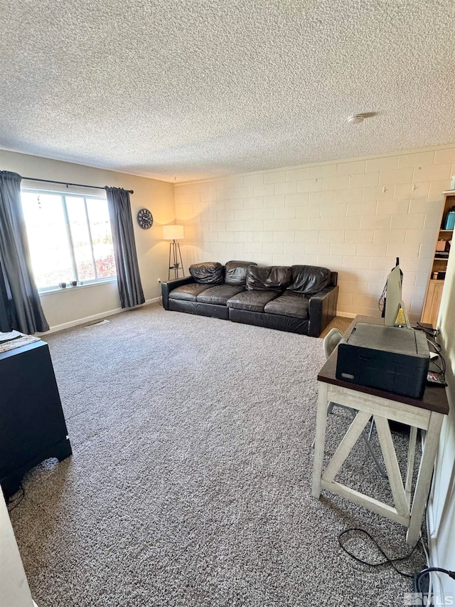 living room with carpet and a textured ceiling