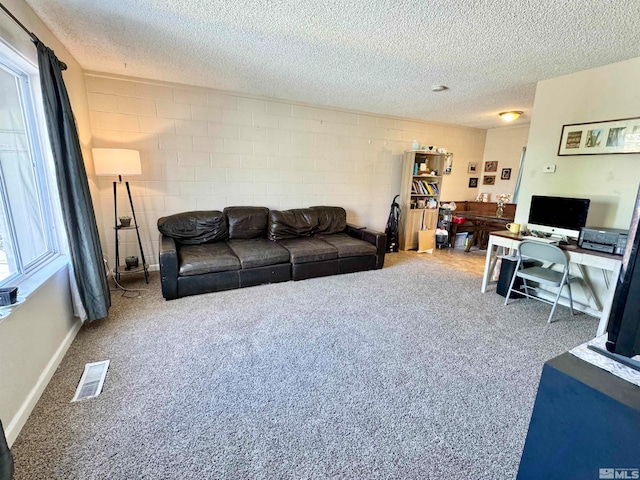 living room featuring a textured ceiling and carpet floors