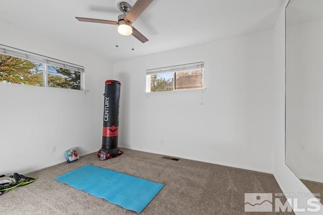 workout room featuring a wealth of natural light, ceiling fan, and carpet floors