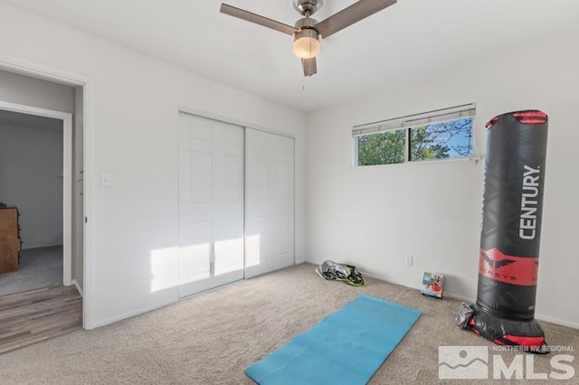 workout area featuring ceiling fan and carpet