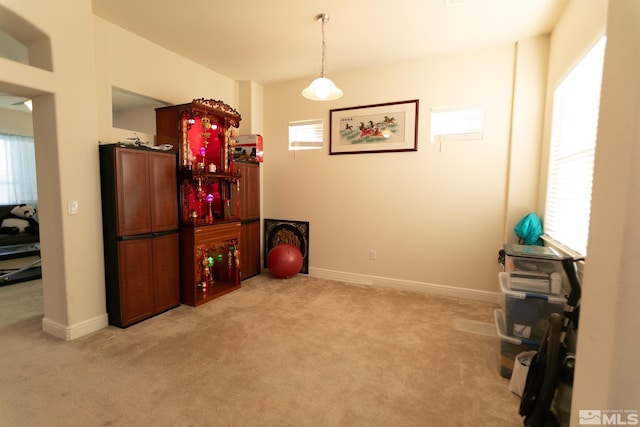 misc room with light colored carpet and a wealth of natural light