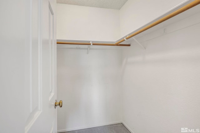 walk in closet with carpet flooring