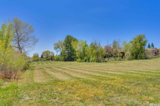 view of yard featuring a rural view