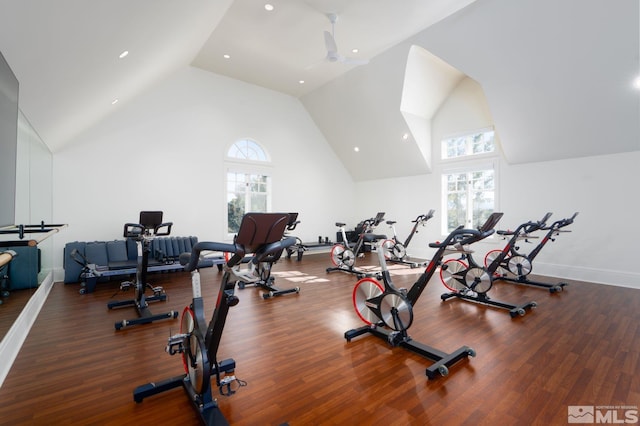 exercise area with high vaulted ceiling and dark hardwood / wood-style flooring