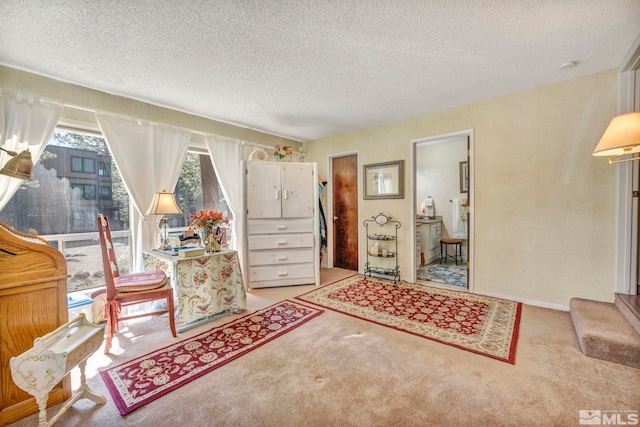 interior space with light colored carpet and a textured ceiling