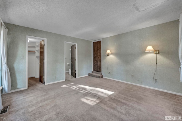 interior space with light carpet, a textured ceiling, a spacious closet, and a closet