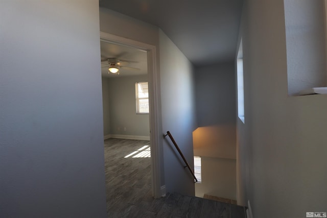 interior space featuring dark hardwood / wood-style floors