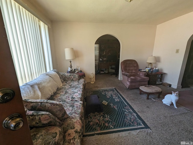 living room with a wealth of natural light and carpet floors