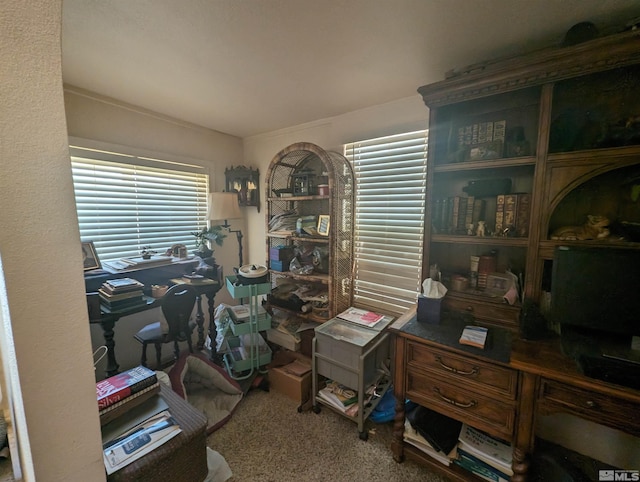 office area featuring carpet