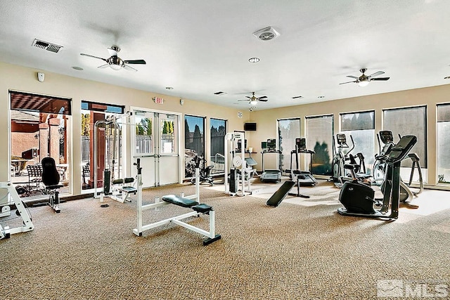 gym featuring carpet, ceiling fan, and french doors