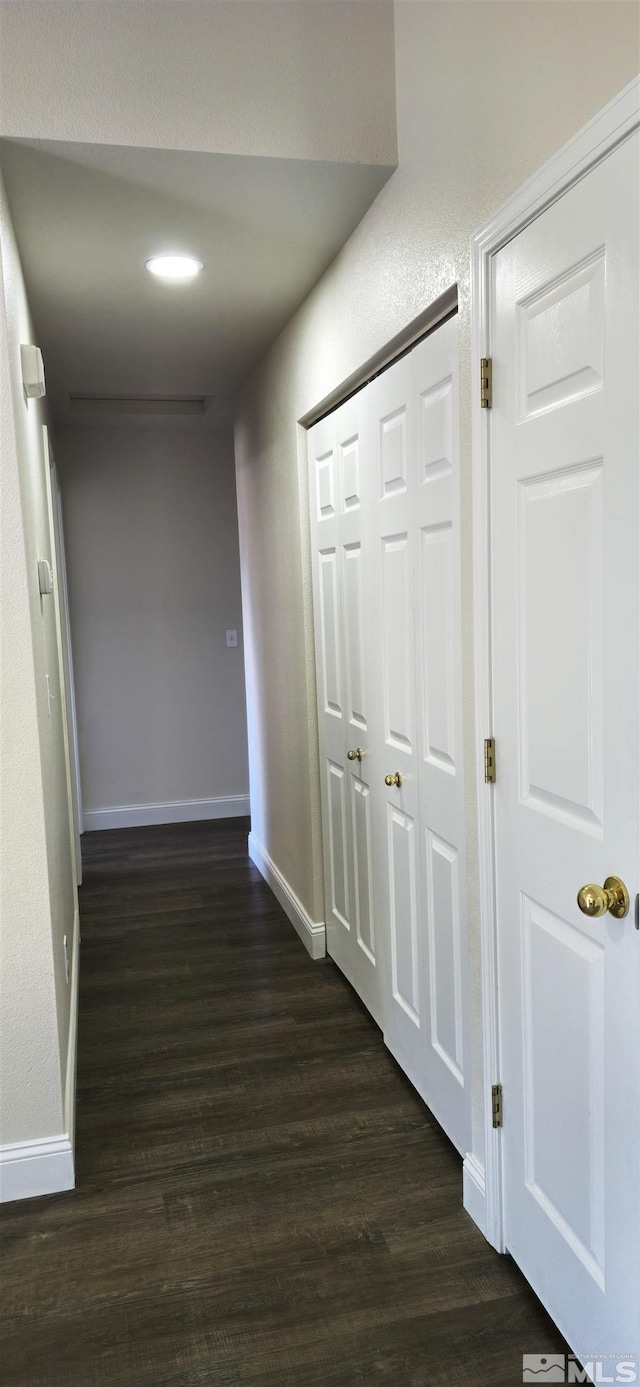 hallway featuring dark hardwood / wood-style flooring